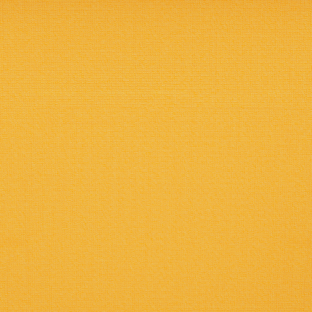 donatello-tuscan-sun